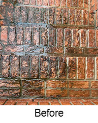 before-detail-power-washing-4
